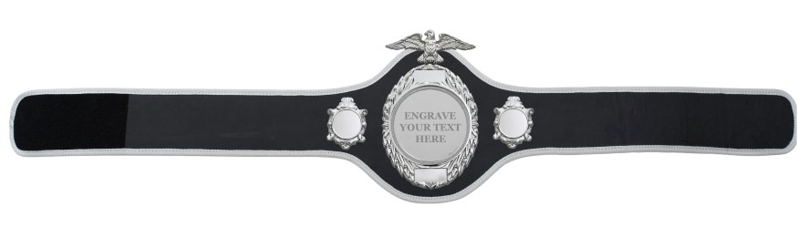 CHAMPIONSHIP BELT-PRO288/S/ENGRAVE - 10 COLOURS